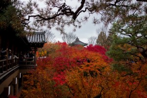 Kyoto28a