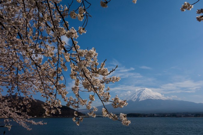 SumoFuji_18a