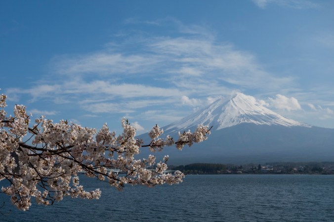 SumoFuji_21a