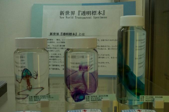 Une rencontre de... je ne sais pas trop quel type...